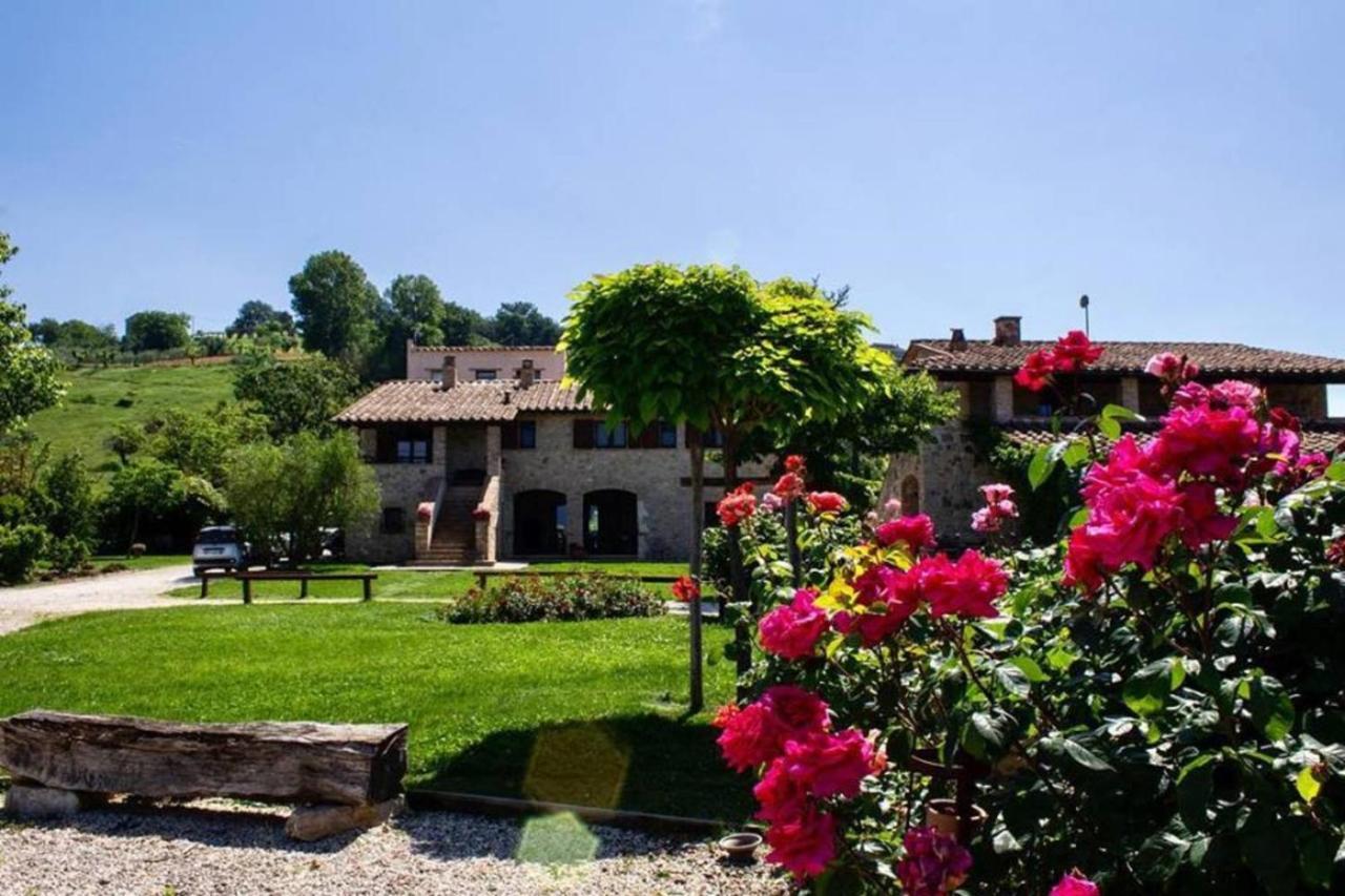 Agriturismo Poggio Del Bolognino Lugnano in Teverina 外观 照片